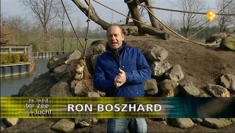 Te land, ter zee en in de lucht